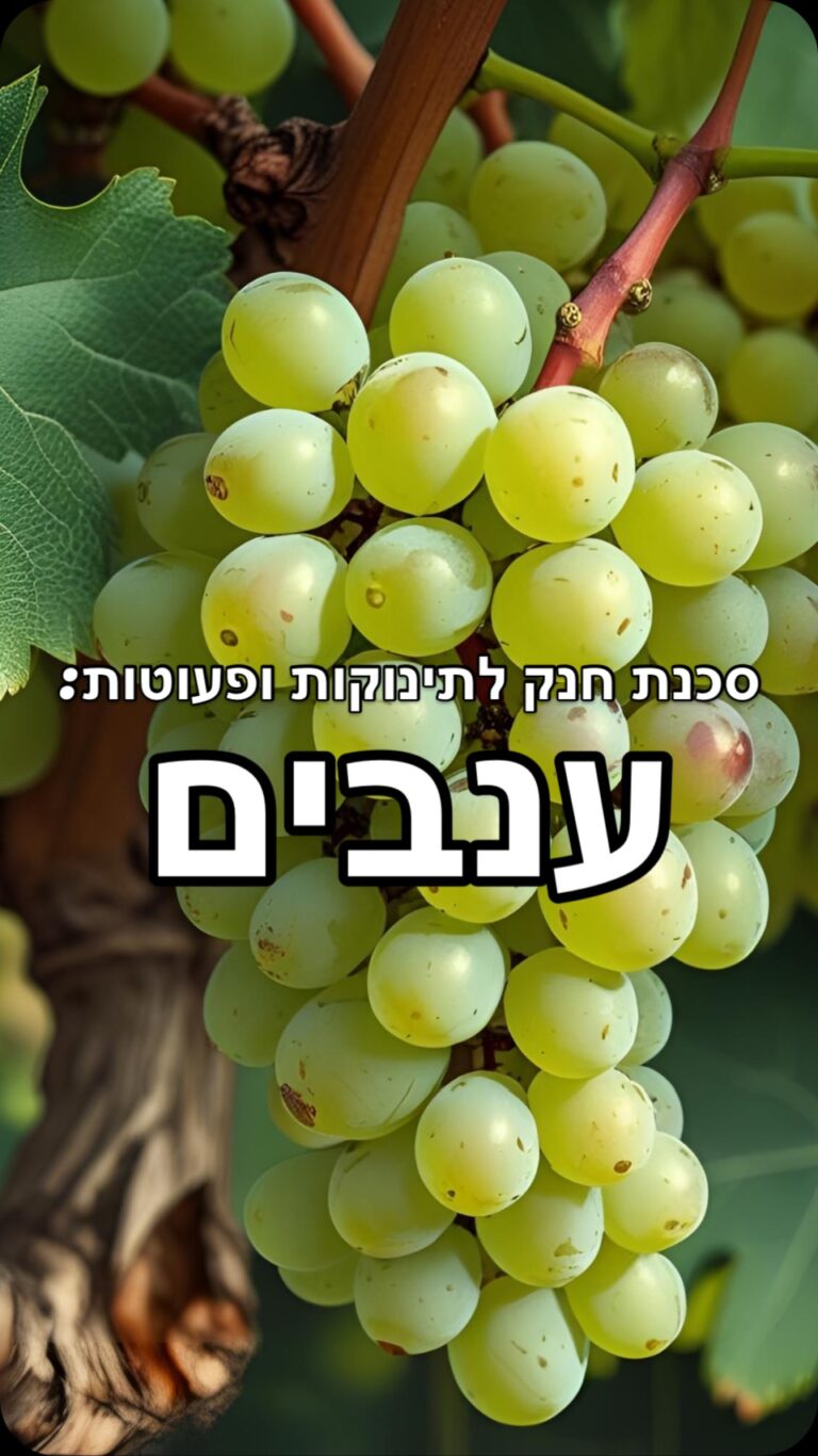 Instagram post from almog_savelives. This post is in position 2.